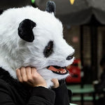 Mascara Panda