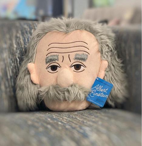 Einstein Cojin